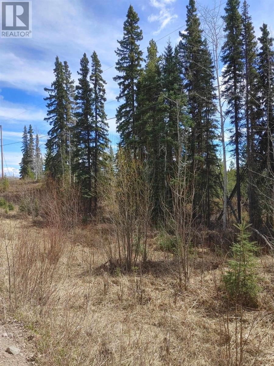 LOT 5 COLLEYMOUNT AGER ROAD located in Burns Lake, British Columbia