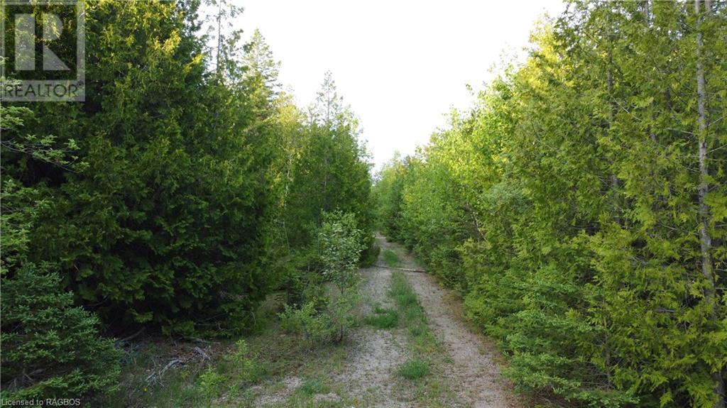 49 Miller Lake Road, Miller Lake Dale Mundi