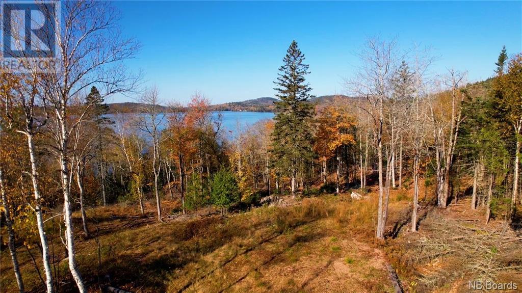 Lot 2021-02 Frye Road located in Chamcook, New Brunswick