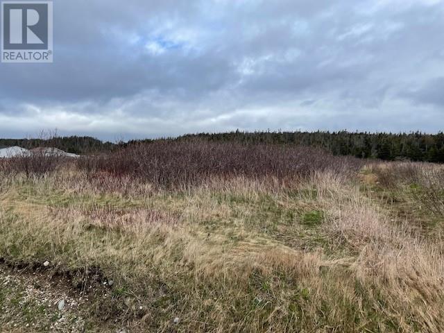 LOT 146 FRONT Road located in PORT AU PORT WEST, Newfoundland and Labrador