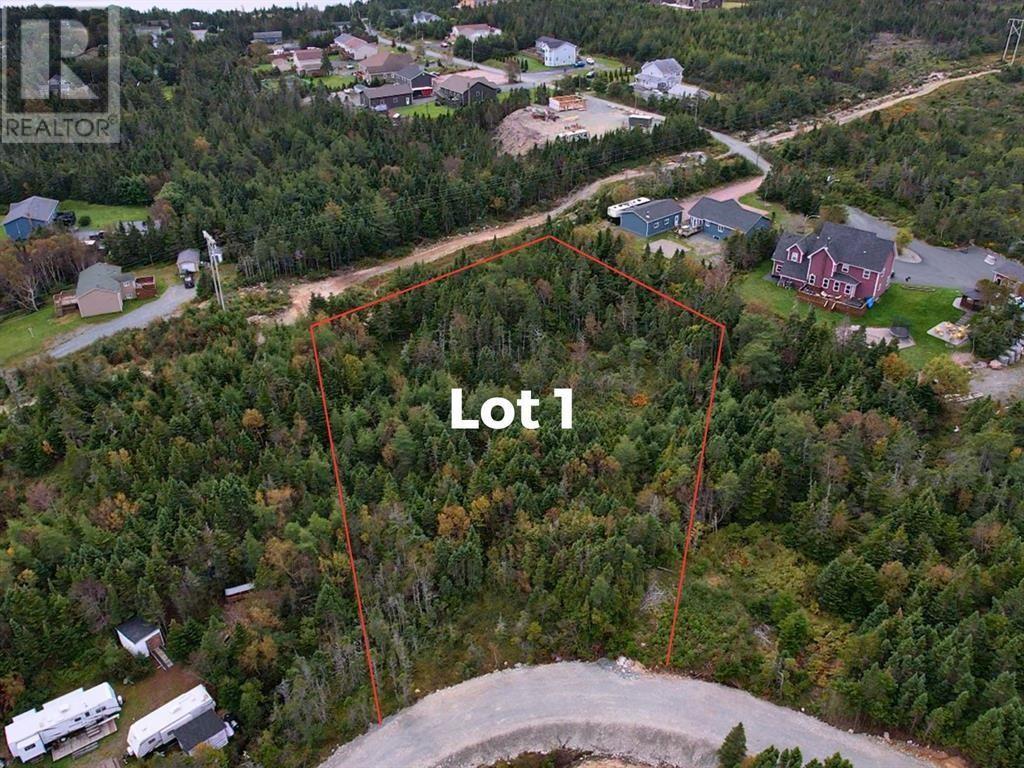 0 Beaver Pond Road Unit#Lot 1 located in Cape Broyle, Newfoundland and Labrador